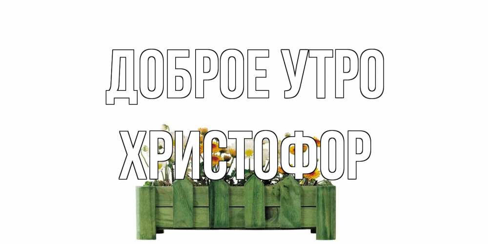 Открытка на каждый день с именем, Христофор Доброе утро цветы Прикольная открытка с пожеланием онлайн скачать бесплатно 