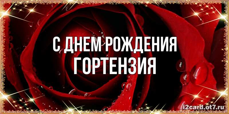 Картинка С днем рождения, Гортензия