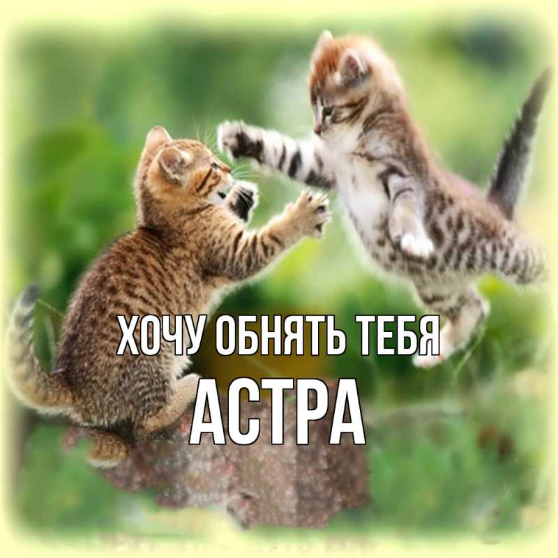 Картинка Хочу обнять тебя, Астра