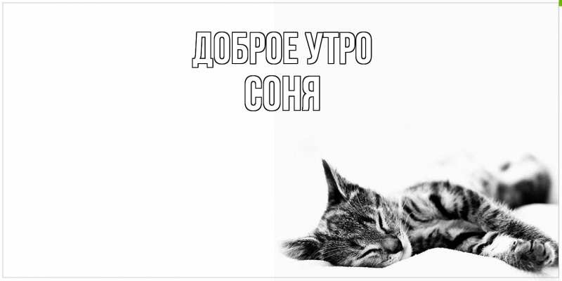 Картинка Доброе утро, Соня