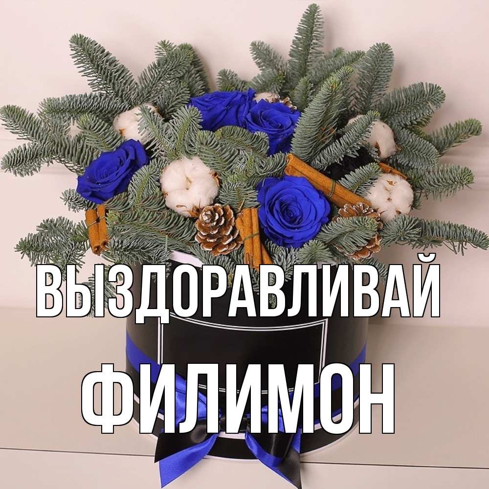 Открытка на каждый день с именем, Филимон Выздоравливай короче кто то загрузил эти шишки Прикольная открытка с пожеланием онлайн скачать бесплатно 