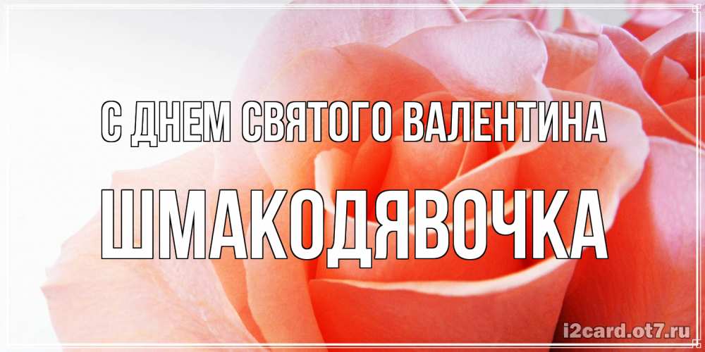 Открытка на каждый день с именем, шмакодявочка С днем Святого Валентина открытка на день Святого Валентина с розовой розой Прикольная открытка с пожеланием онлайн скачать бесплатно 