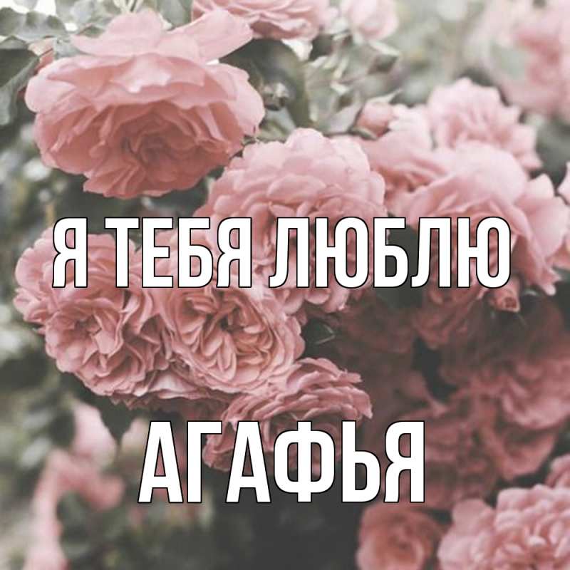 Картинка Я тебя люблю, Агафья