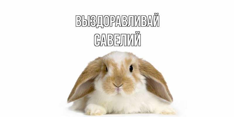 Картинка Выздоравливай, Савелий