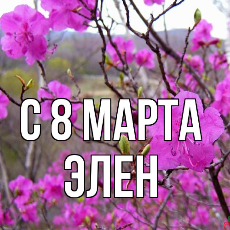 Картинка C 8 МАРТА, Элен