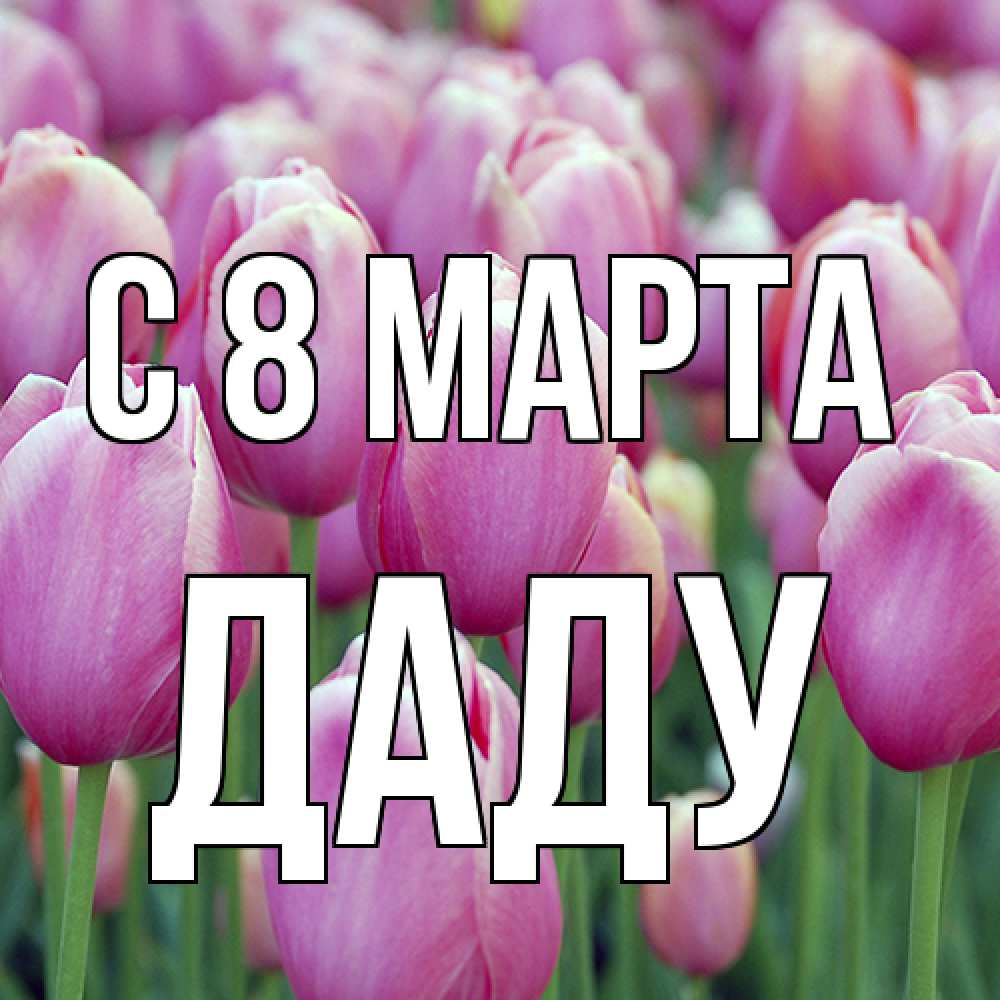 Открытка на каждый день с именем, Даду C 8 МАРТА на международный женский день 3 Прикольная открытка с пожеланием онлайн скачать бесплатно 