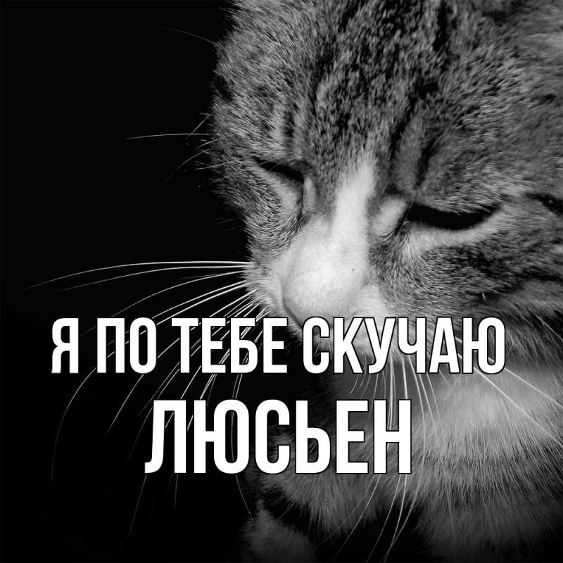 Картинка Я по тебе скучаю, Люсьен