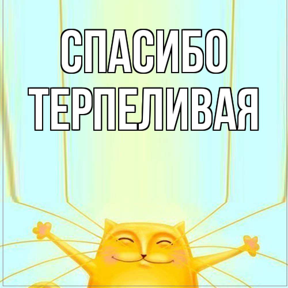 Открытка на каждый день с именем, терпеливая Спасибо кот с усами благодарит Прикольная открытка с пожеланием онлайн скачать бесплатно 