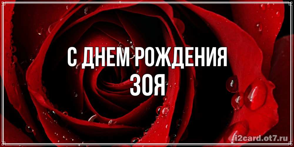 Открытка на каждый день с именем, Зоя С днем рождения крупная бордовая роза Прикольная открытка с пожеланием онлайн скачать бесплатно 