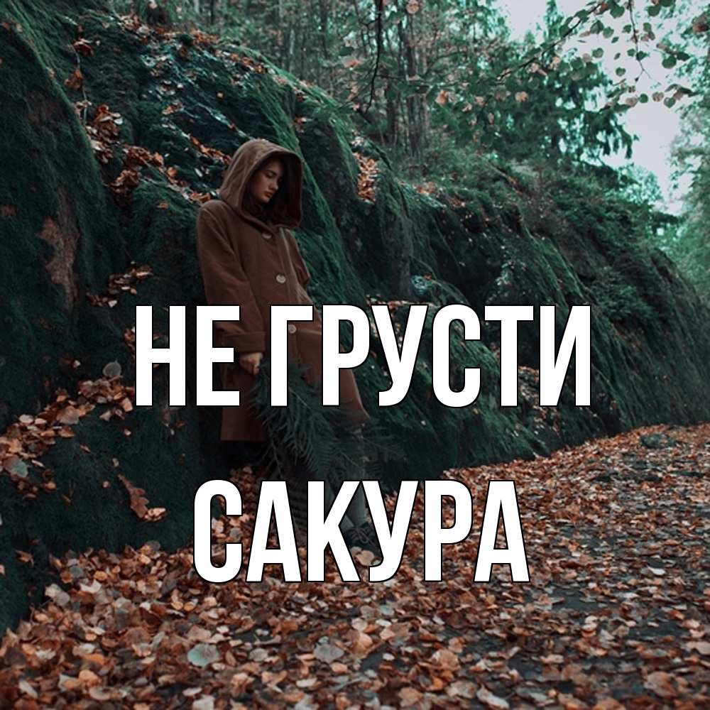 Открытка на каждый день с именем, Сакура Не грусти осенний лес Прикольная открытка с пожеланием онлайн скачать бесплатно 