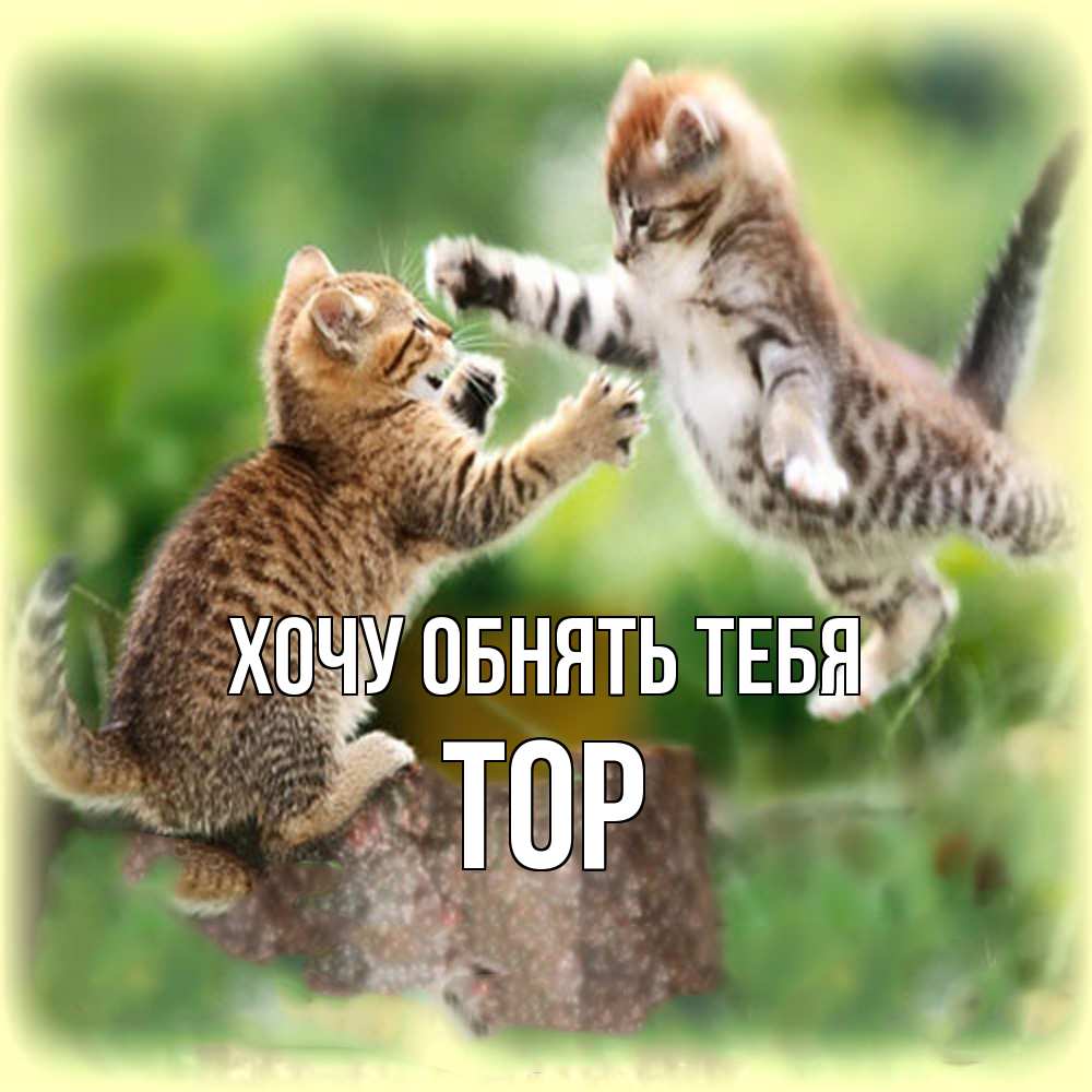 Открытка на каждый день с именем, Тор Хочу обнять тебя игры котят Прикольная открытка с пожеланием онлайн скачать бесплатно 
