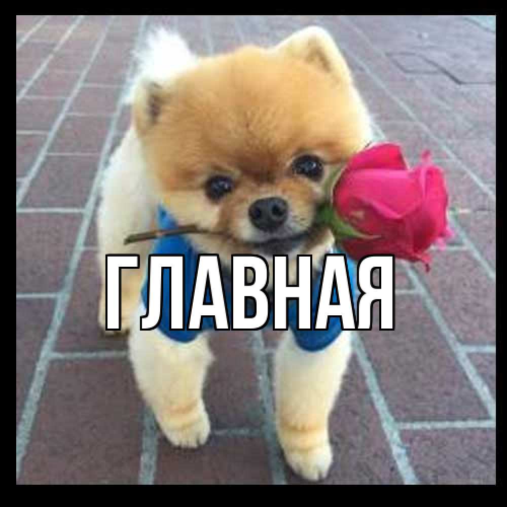 Открытка на каждый день с именем, Анна Главная спасибо и дарю тебе цветок Прикольная открытка с пожеланием онлайн скачать бесплатно 