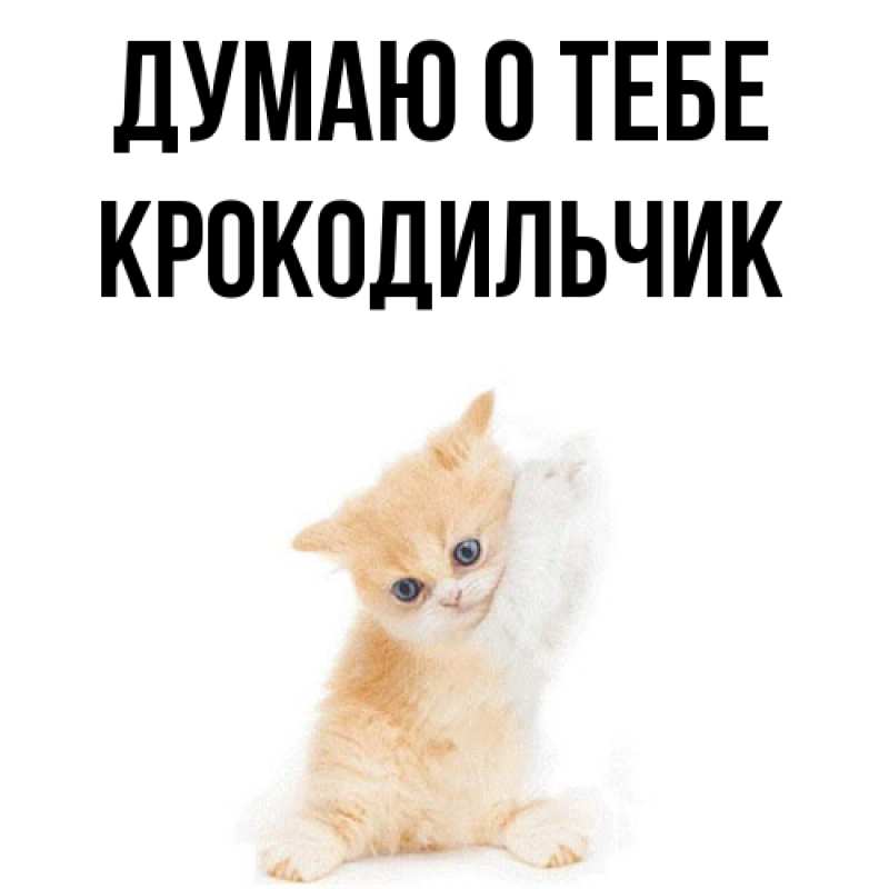 Картинка Думаю о тебе, Крокодильчик