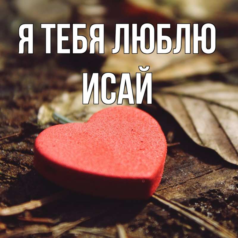 Картинка Я тебя люблю, Исай