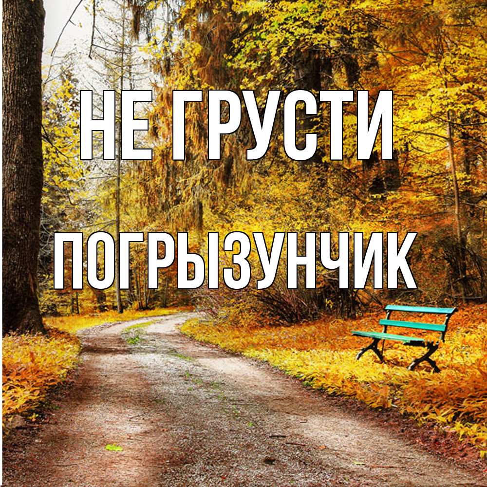 Открытка на каждый день с именем, Погрызунчик Не грусти зеленая лавочка Прикольная открытка с пожеланием онлайн скачать бесплатно 