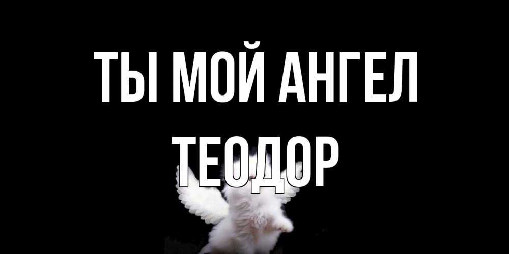 Открытка на каждый день с именем, Теодор Ты мой ангел Кот ангел Прикольная открытка с пожеланием онлайн скачать бесплатно 
