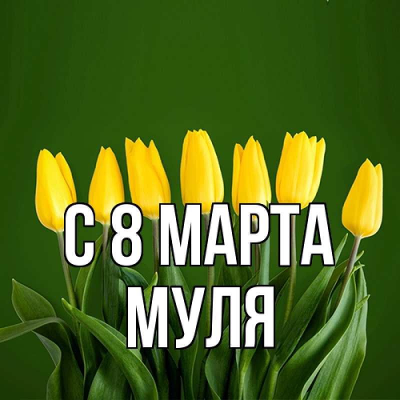 Картинка C 8 МАРТА, Муля
