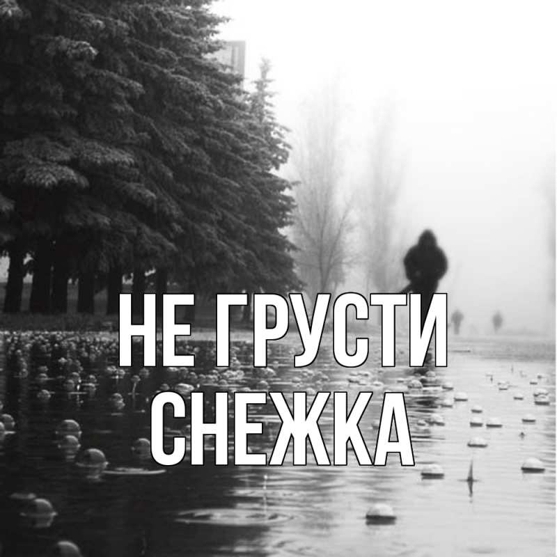 Картинка Не грусти, Снежка