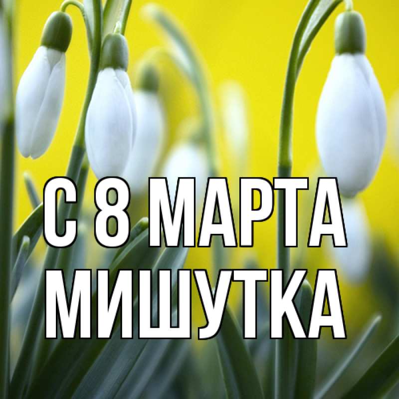 Картинка C 8 МАРТА, Мишутка