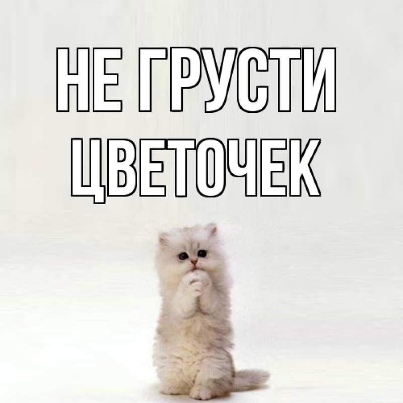 Картинка Не грусти, Цветочек