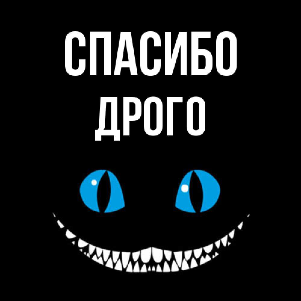 Открытка на каждый день с именем, Дрого Спасибо благодарю от чеширика Прикольная открытка с пожеланием онлайн скачать бесплатно 