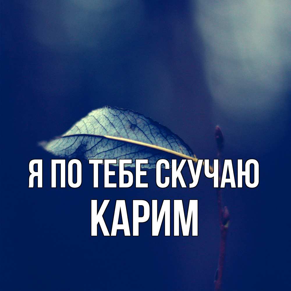 Открытка на каждый день с именем, Карим Я по тебе скучаю одна ветка 1 Прикольная открытка с пожеланием онлайн скачать бесплатно 