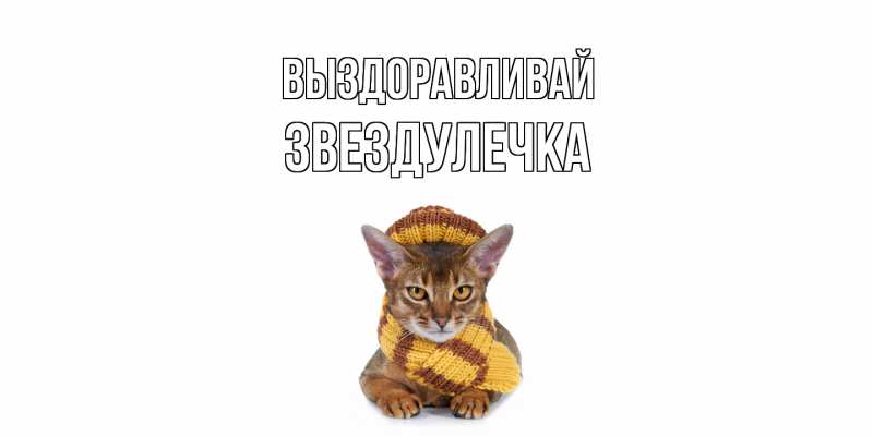 Картинка Выздоравливай, Звездулечка