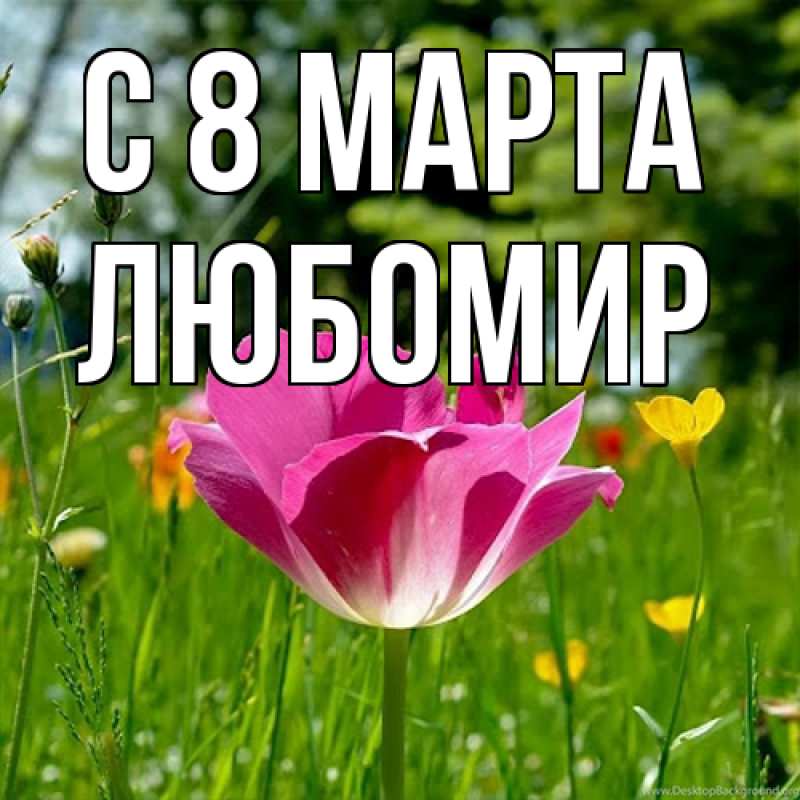 Картинка C 8 МАРТА, Любомир