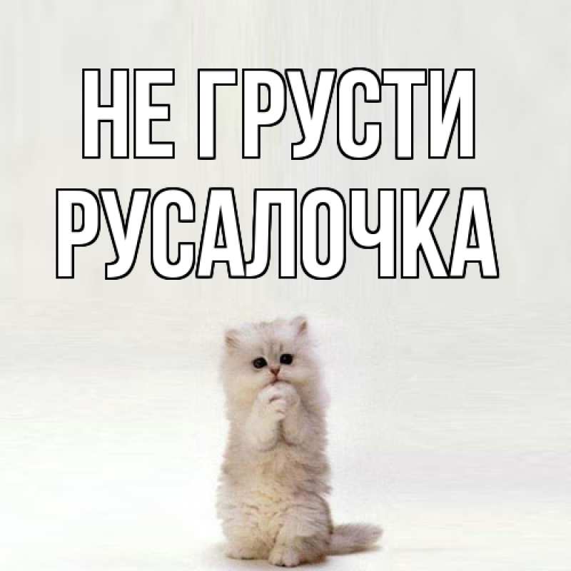 Картинка Не грусти, Русалочка