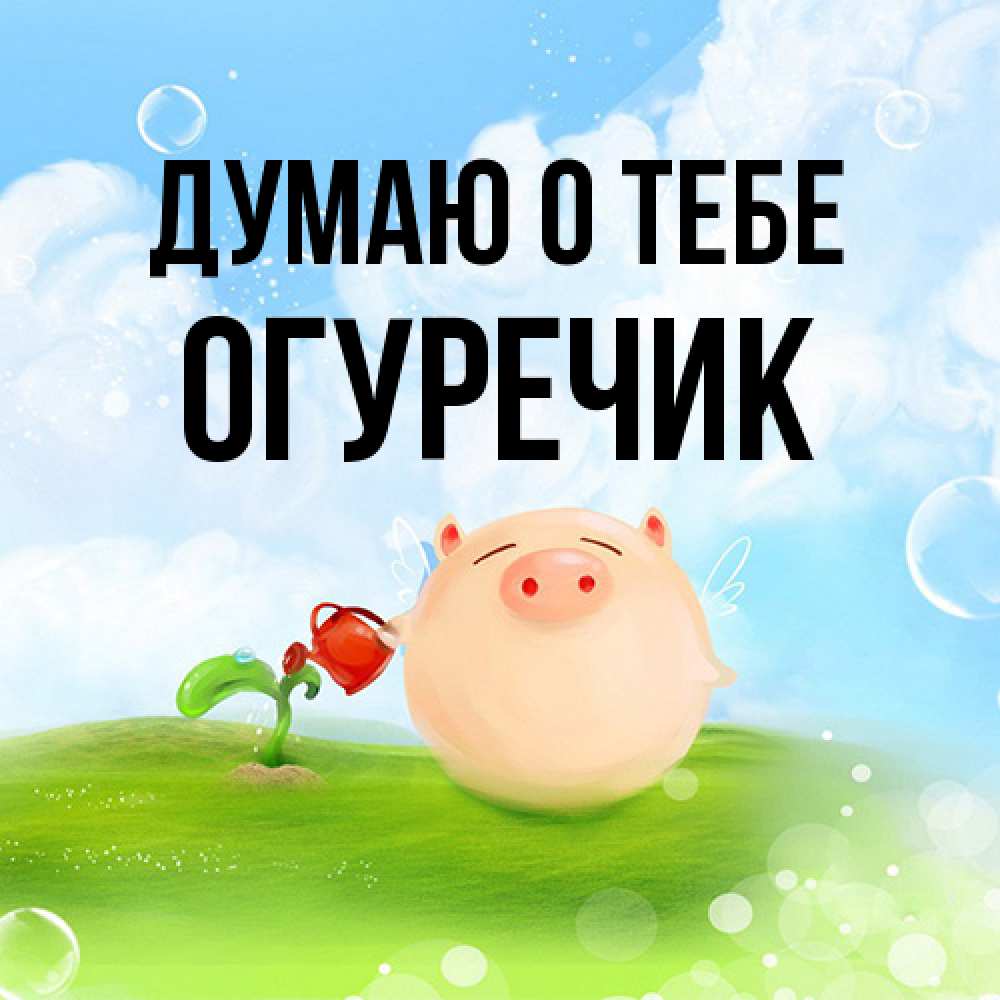 Открытка на каждый день с именем, Огуречик Думаю о тебе позитивная свинюшка Прикольная открытка с пожеланием онлайн скачать бесплатно 