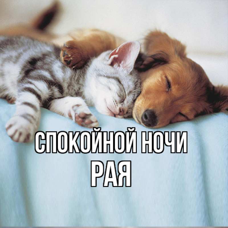 Картинка Спокойной ночи, Рая