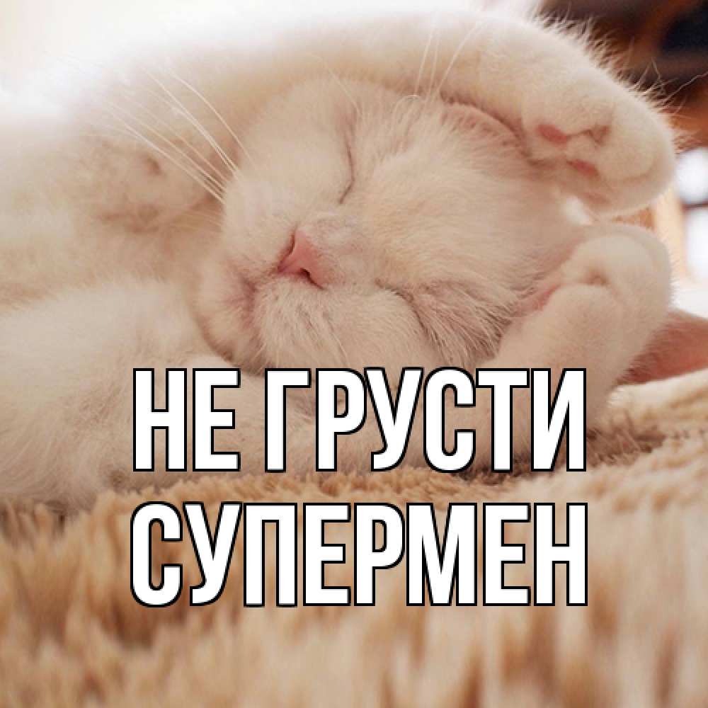 Открытка на каждый день с именем, Супермен Не грусти белый кот Прикольная открытка с пожеланием онлайн скачать бесплатно 