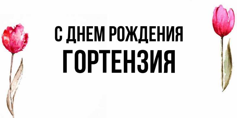 Картинка С днем рождения, Гортензия