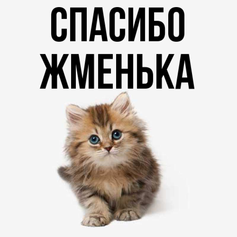 Картинка Спасибо, Жменька