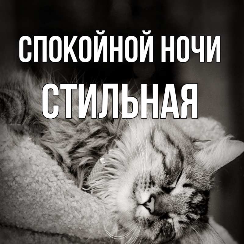 Открытка с именем, Стильная, Спокойной ночи