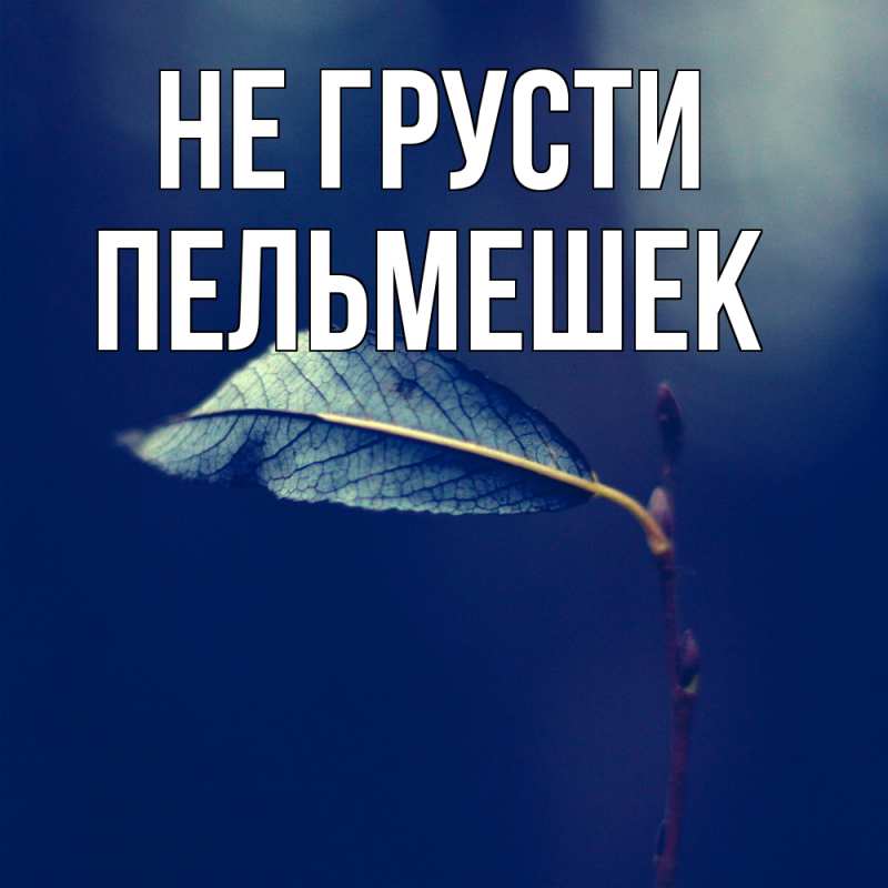 Картинка Не грусти, пельмешек