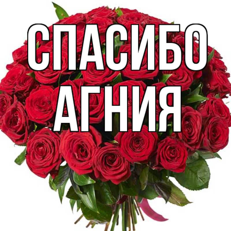 Картинка Спасибо, Агния