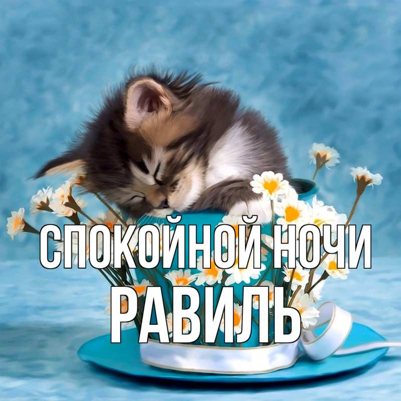 Картинка Спокойной ночи, Равиль