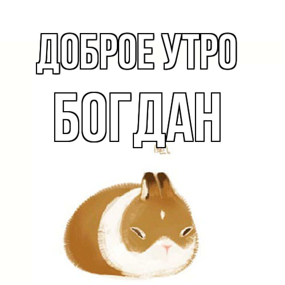 Открытка на каждый день с именем, Богдан Доброе утро хорошего утречка Прикольная открытка с пожеланием онлайн скачать бесплатно 