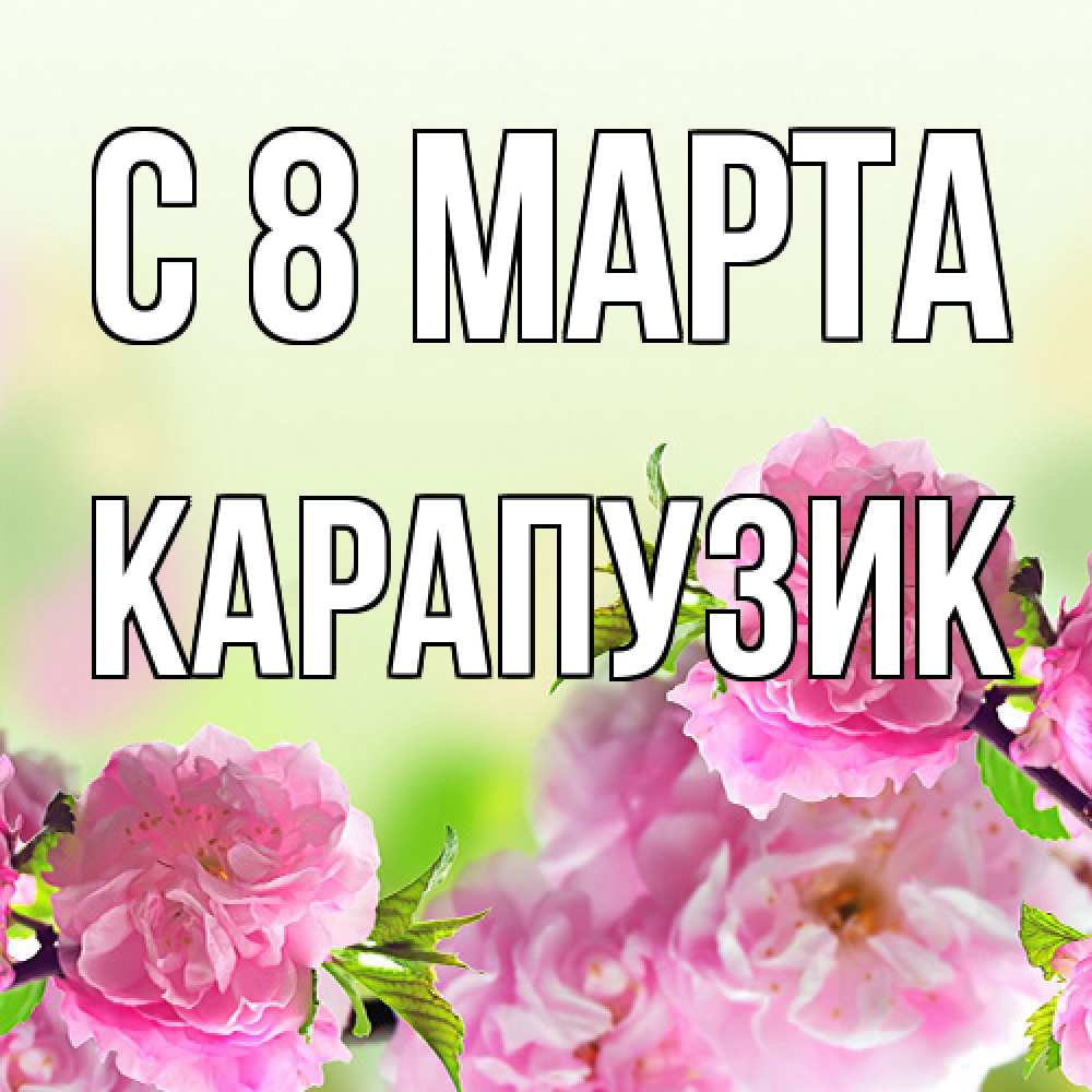 Открытка на каждый день с именем, карапузик C 8 МАРТА цветы Прикольная открытка с пожеланием онлайн скачать бесплатно 