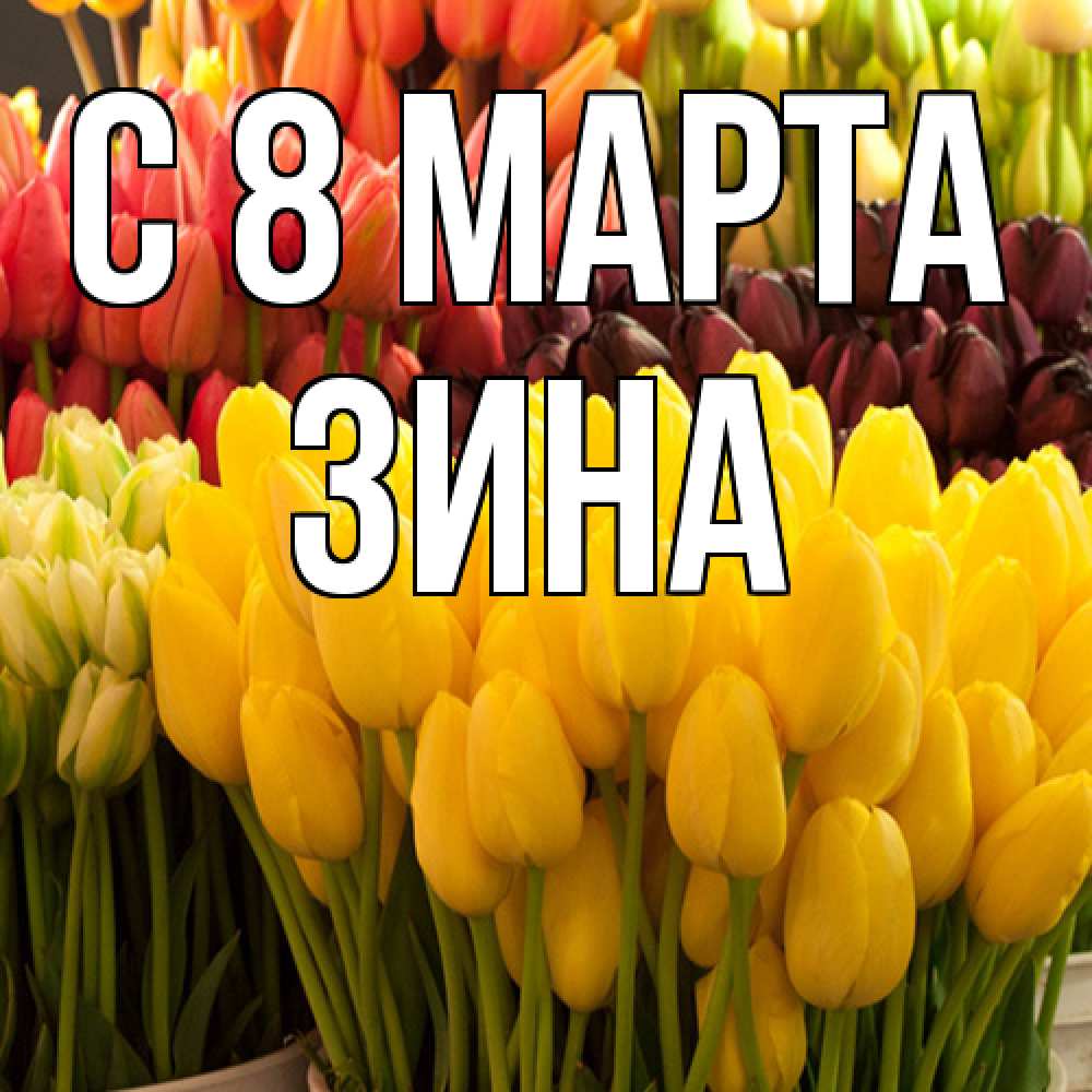 Открытка на каждый день с именем, Зина C 8 МАРТА цветы Прикольная открытка с пожеланием онлайн скачать бесплатно 