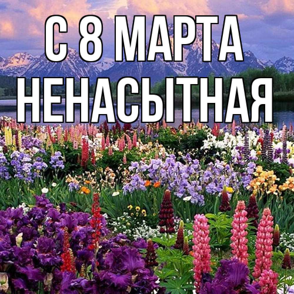 Открытка на каждый день с именем, Ненасытная C 8 МАРТА международный женский день Прикольная открытка с пожеланием онлайн скачать бесплатно 