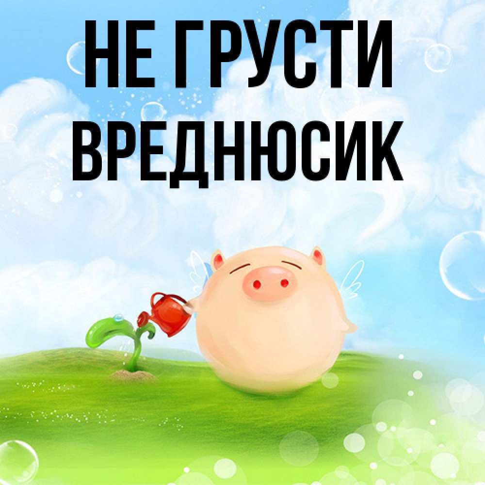 Открытка на каждый день с именем, Вреднюсик Не грусти поливает цветок порося Прикольная открытка с пожеланием онлайн скачать бесплатно 