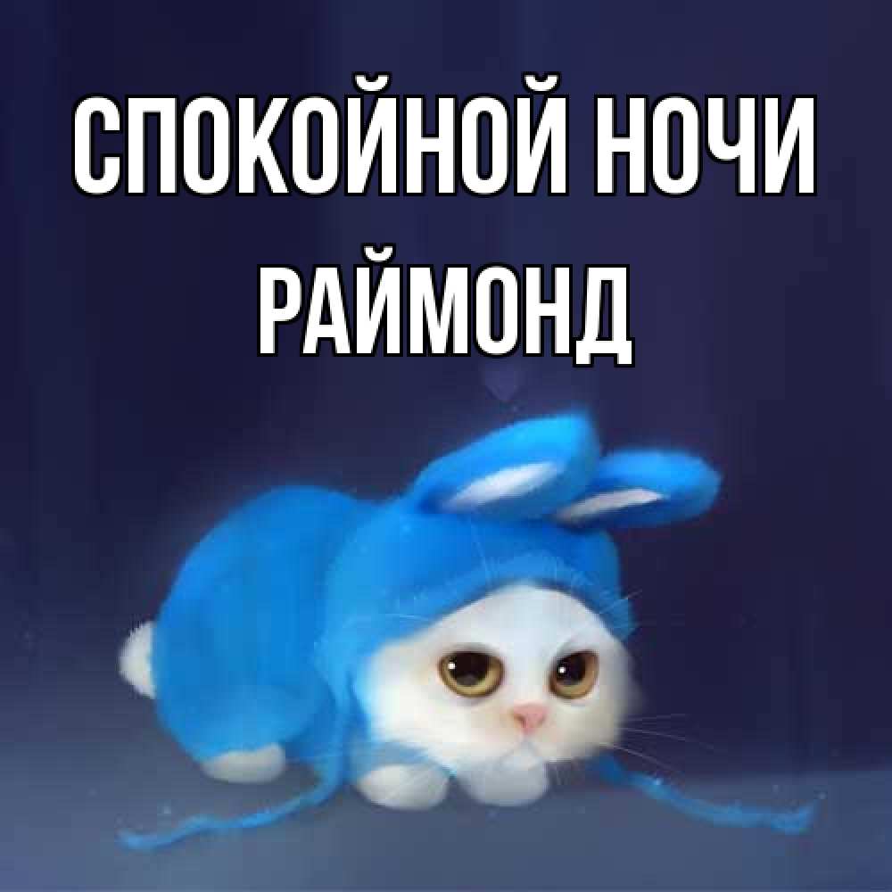 Открытка на каждый день с именем, Раймонд Спокойной ночи кот в голубом костюме кролика с ушками Прикольная открытка с пожеланием онлайн скачать бесплатно 