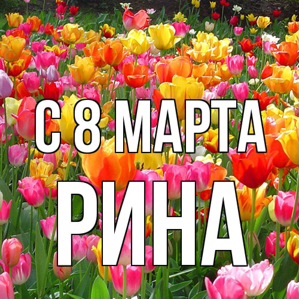 Открытка на каждый день с именем, Рина C 8 МАРТА на международный женский день Прикольная открытка с пожеланием онлайн скачать бесплатно 