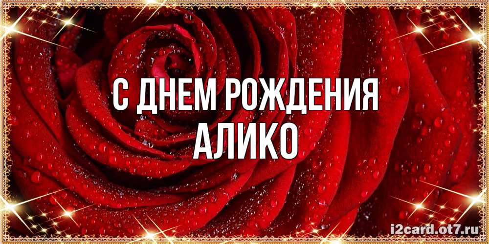 Открытка на каждый день с именем, Алико С днем рождения роса на розе блестящая в лучах солнца Прикольная открытка с пожеланием онлайн скачать бесплатно 