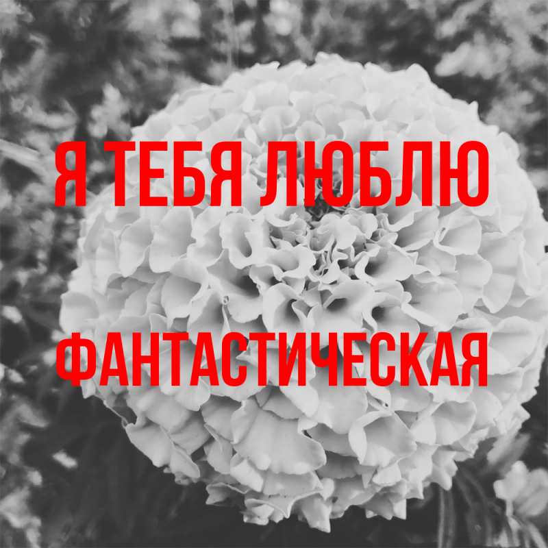 Картинка Я тебя люблю, Фантастическая