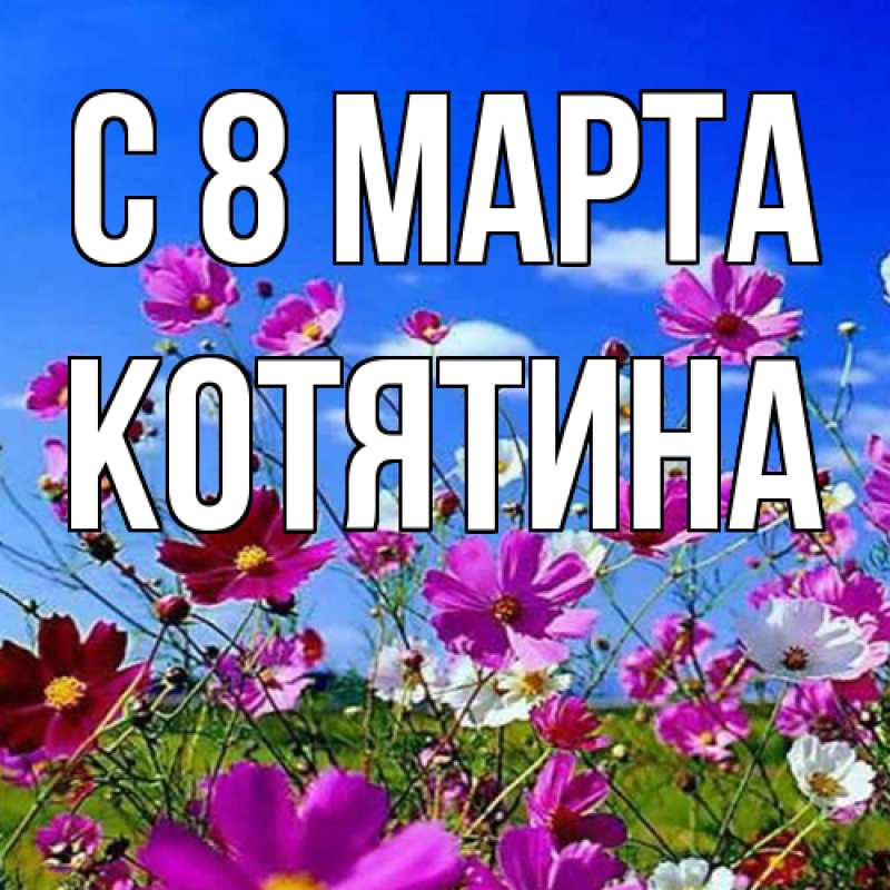 Картинка C 8 МАРТА, Котятина