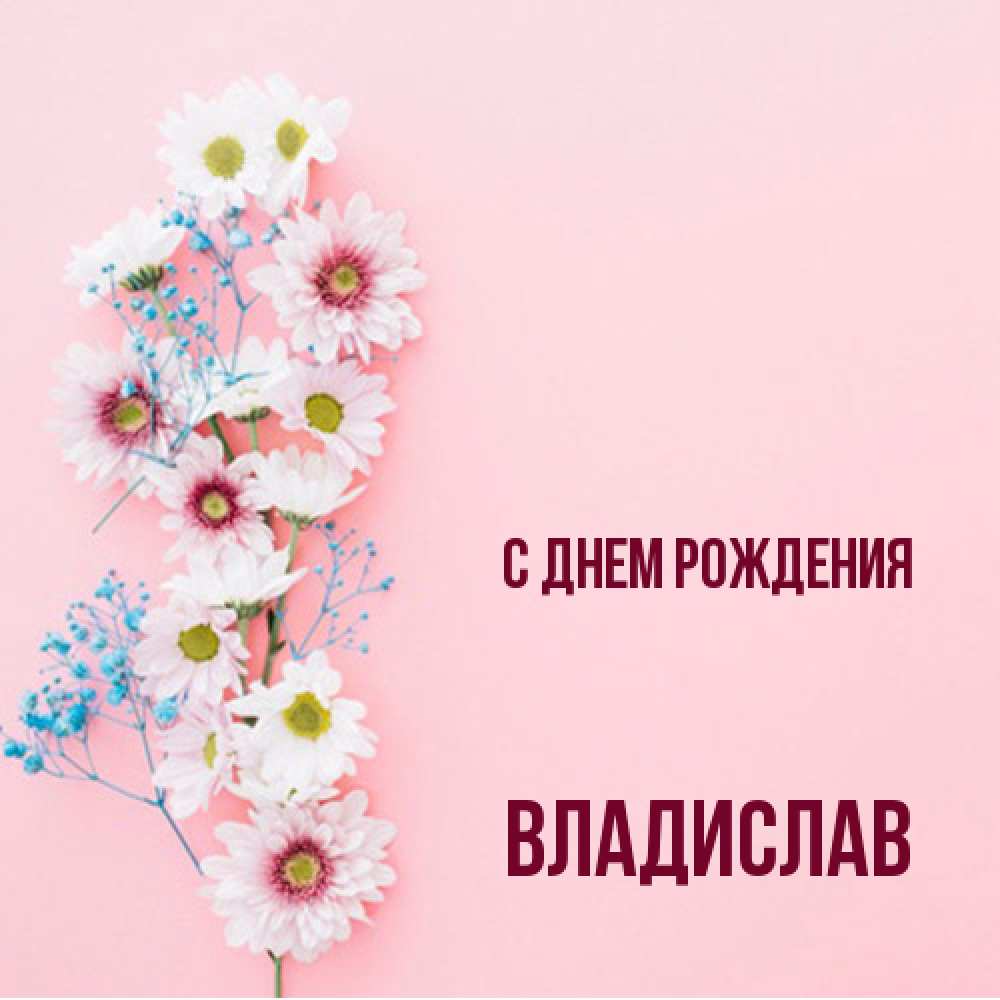 Открытка на каждый день с именем, Владислав С днем рождения Родная моя с днем рождения тебя картинка с цветами белыми и голубыми Прикольная открытка с пожеланием онлайн скачать бесплатно 