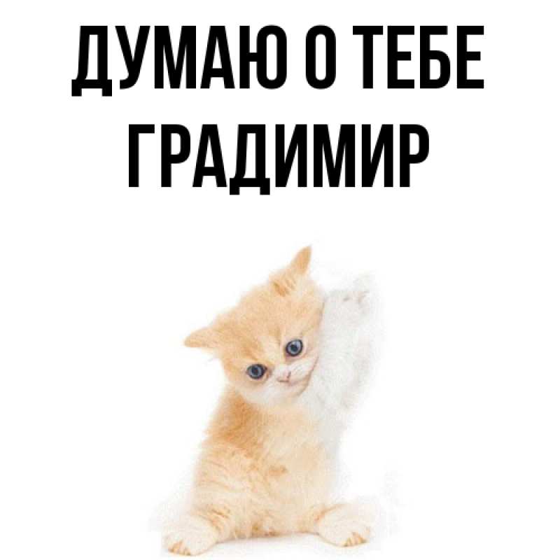 Картинка Думаю о тебе, Градимир
